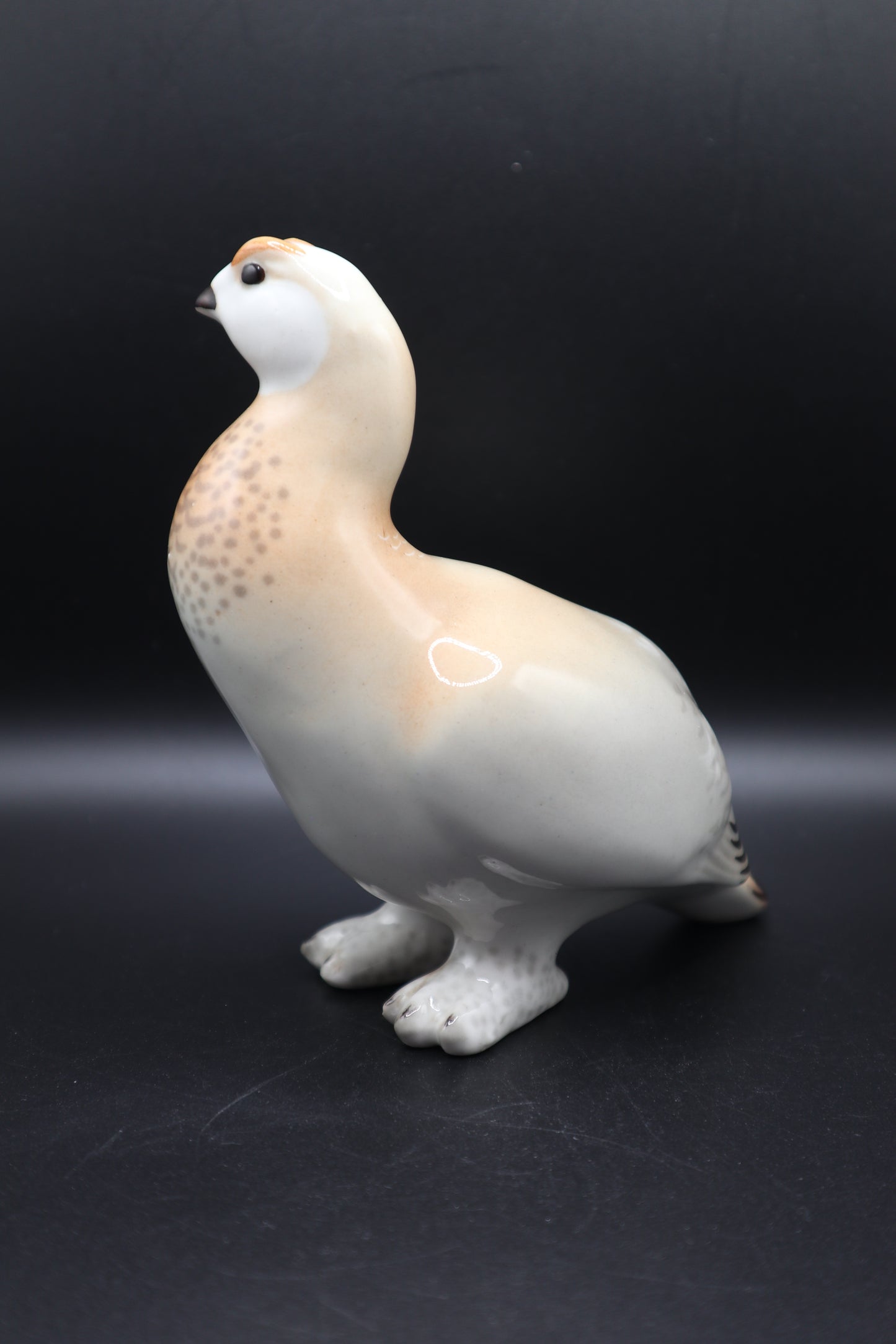 LOMONSOV RUSSIA QUAIL