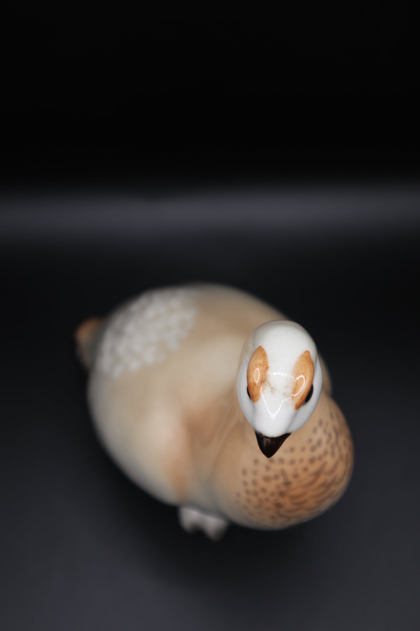 LOMONSOV RUSSIA QUAIL