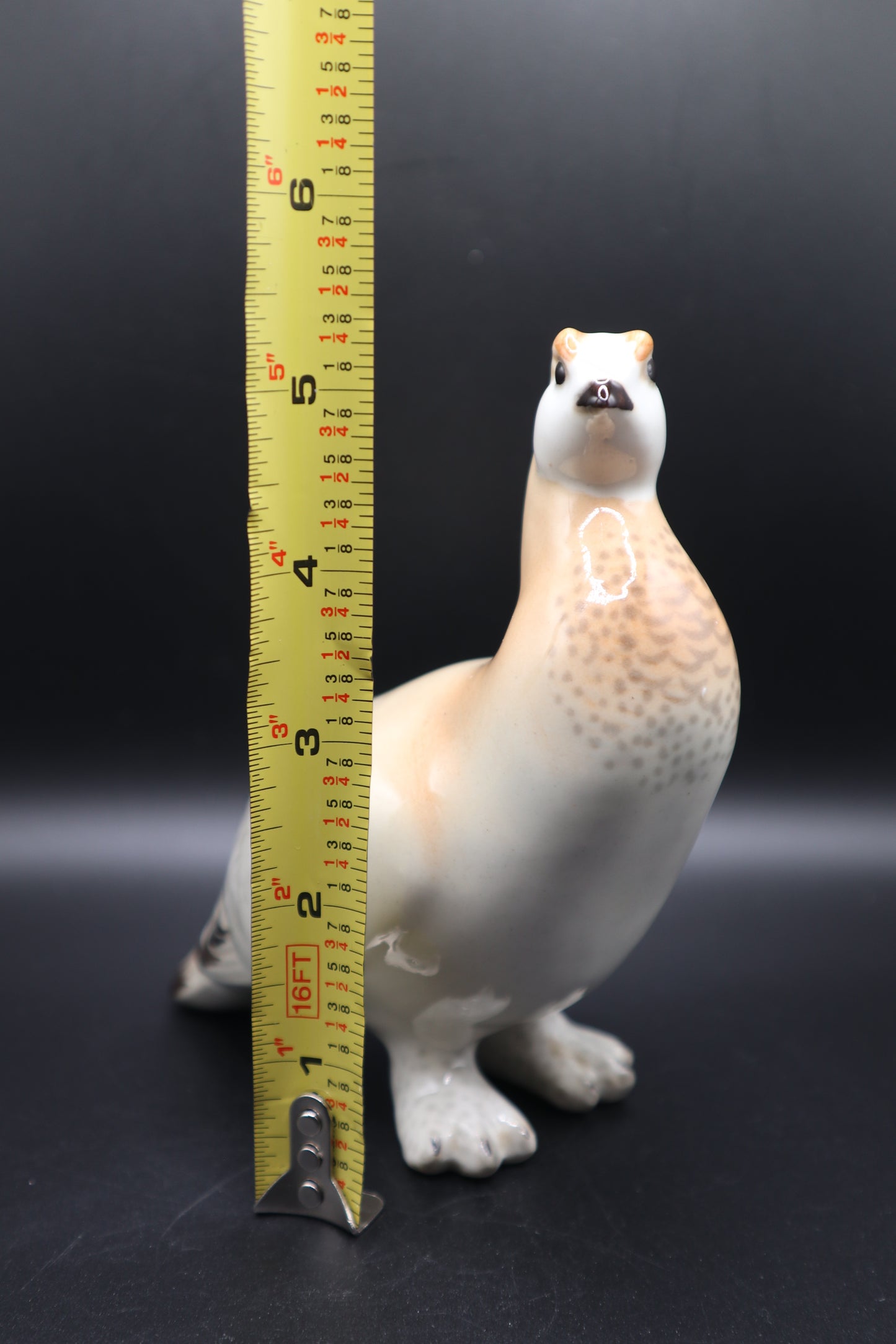 LOMONSOV RUSSIA QUAIL