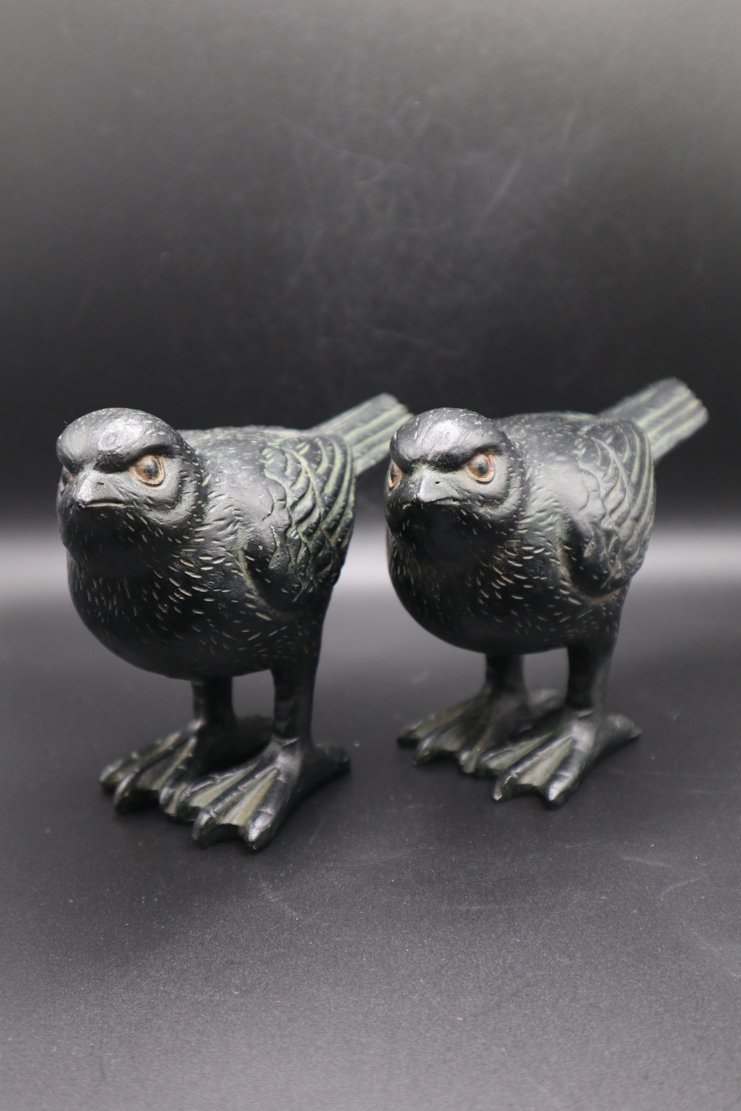 BLACK BIRD RESIN SET OF 2