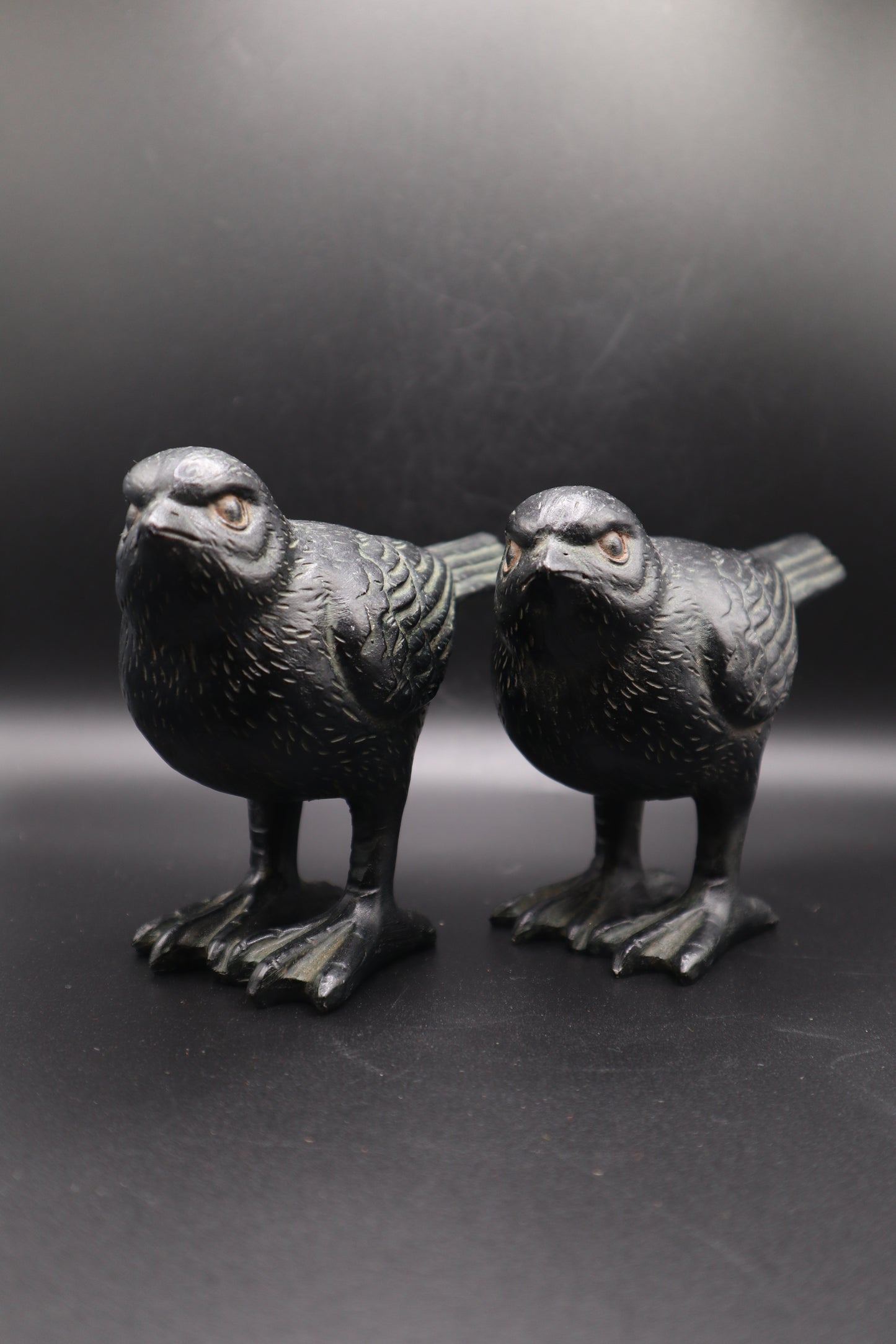 BLACK BIRD RESIN SET OF 2