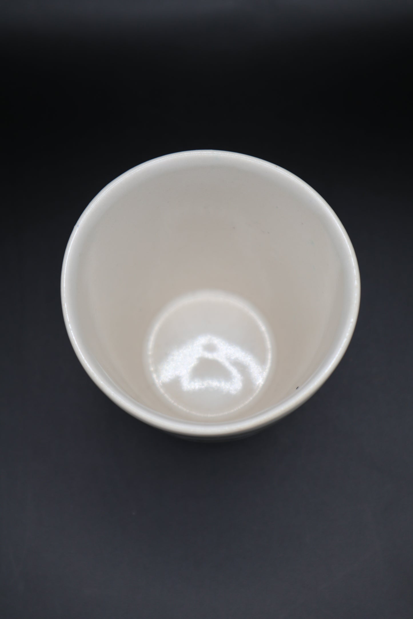 VINTAGE DIETER HANITZSCH CUP