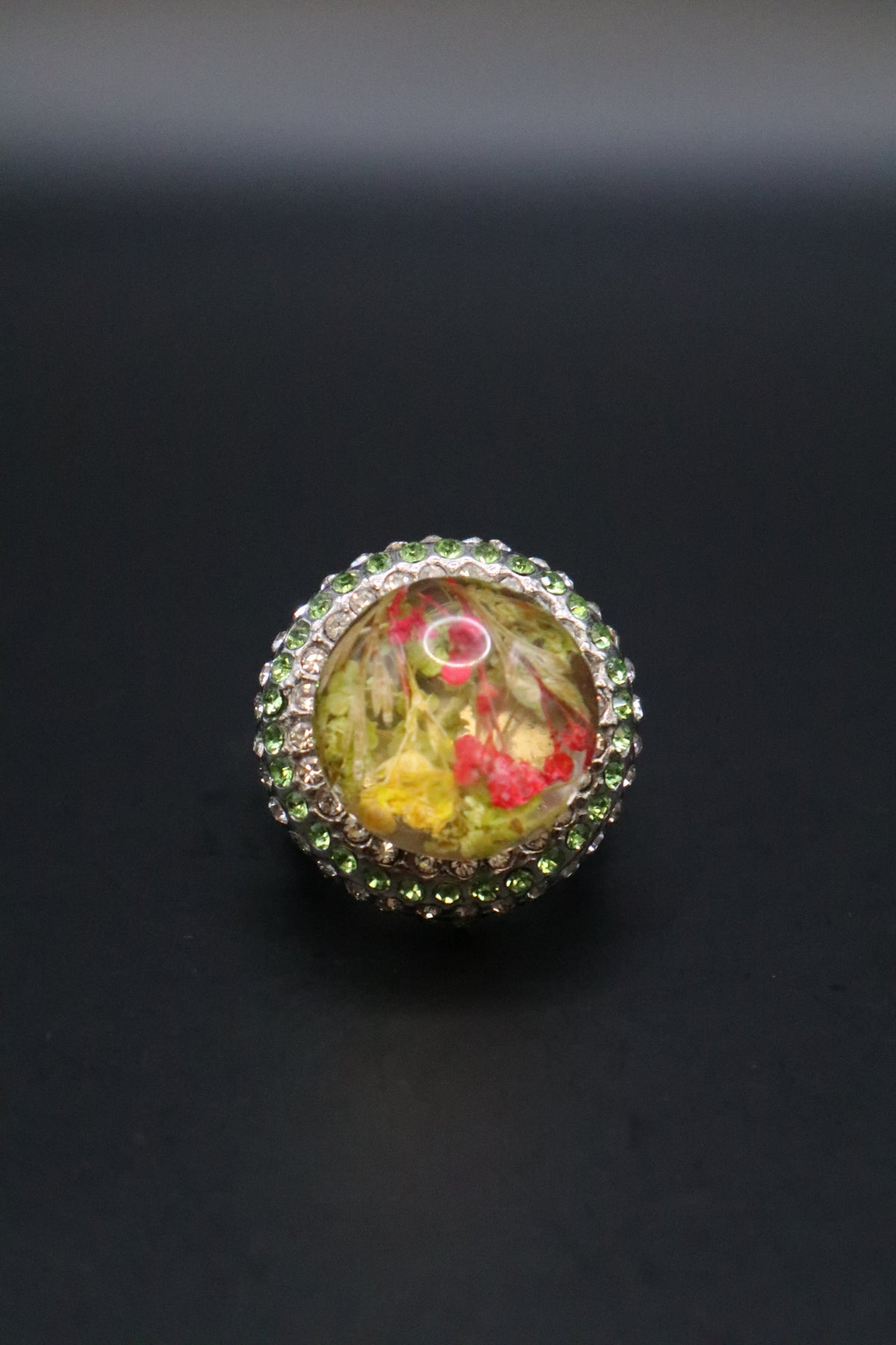 316L S.STEEL TERRARIUM STYLE RESIN DOME WITH RHINESTONE HALO